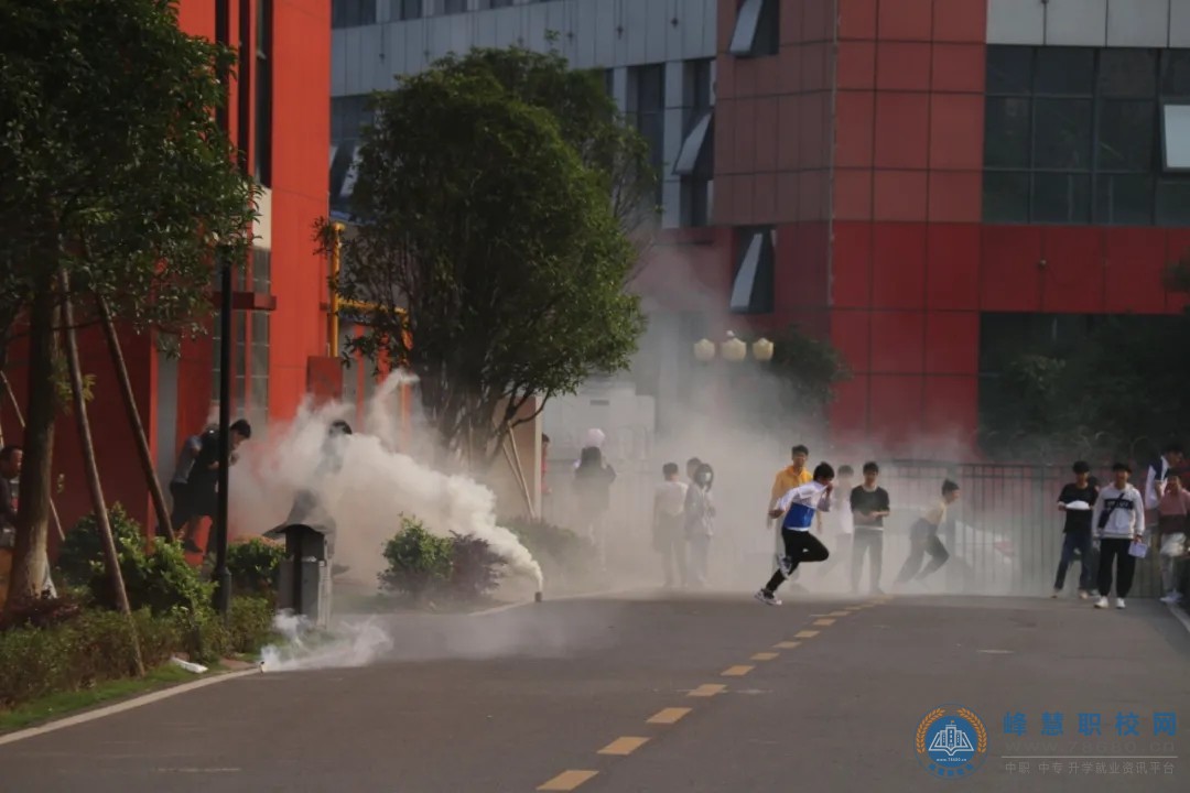  湖南中专职高学校-迪育桥职校网