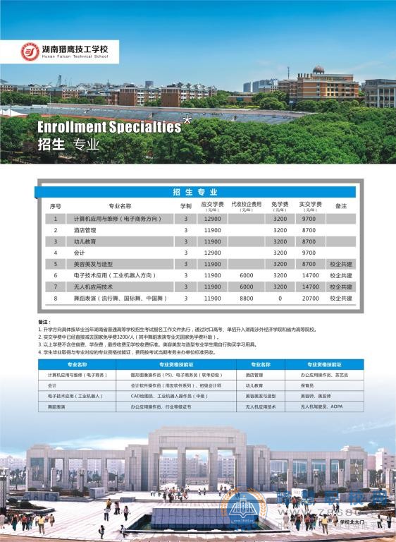  湖南中专职高学校-迪育桥职校网