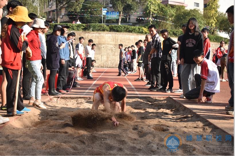  湖南中专职高学校-迪育桥职校网 