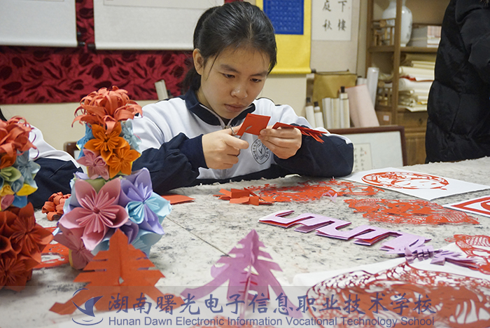 湖南曙光电子信息职业技术学校学生作品展