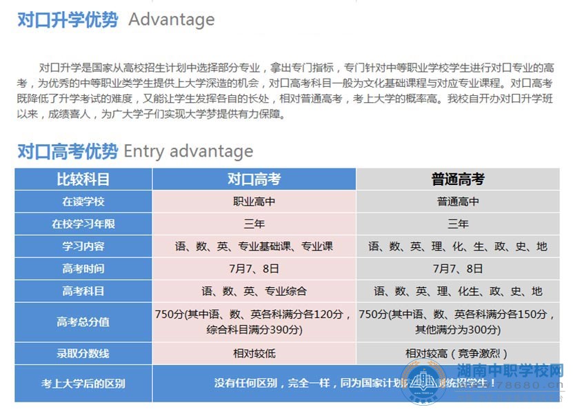 岳阳市新青年职业技术学校,岳阳软件与信息服务,计算机应用招生,湖南中专职高学校