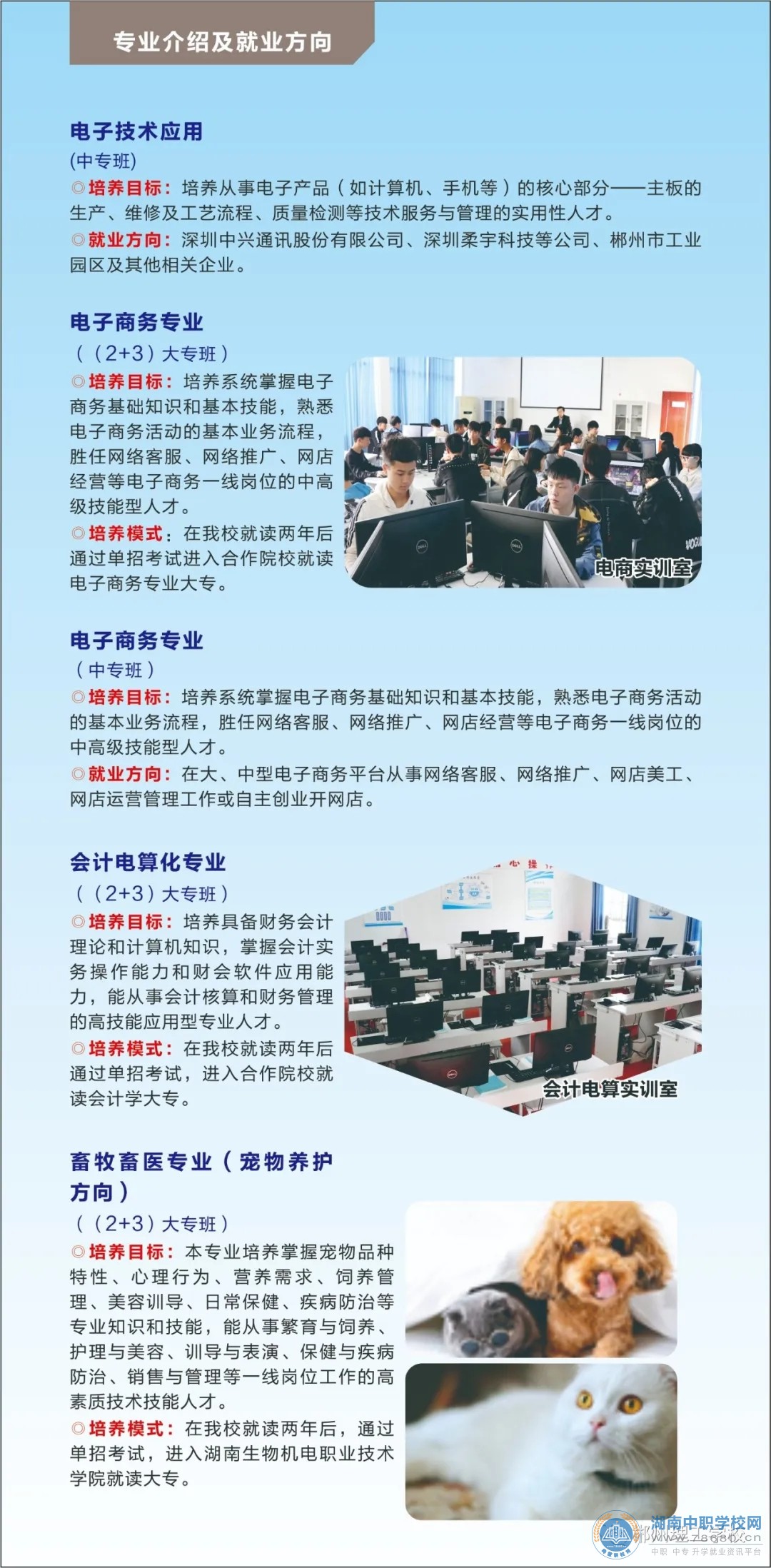 湖南中专职高学校-迪育桥职校网